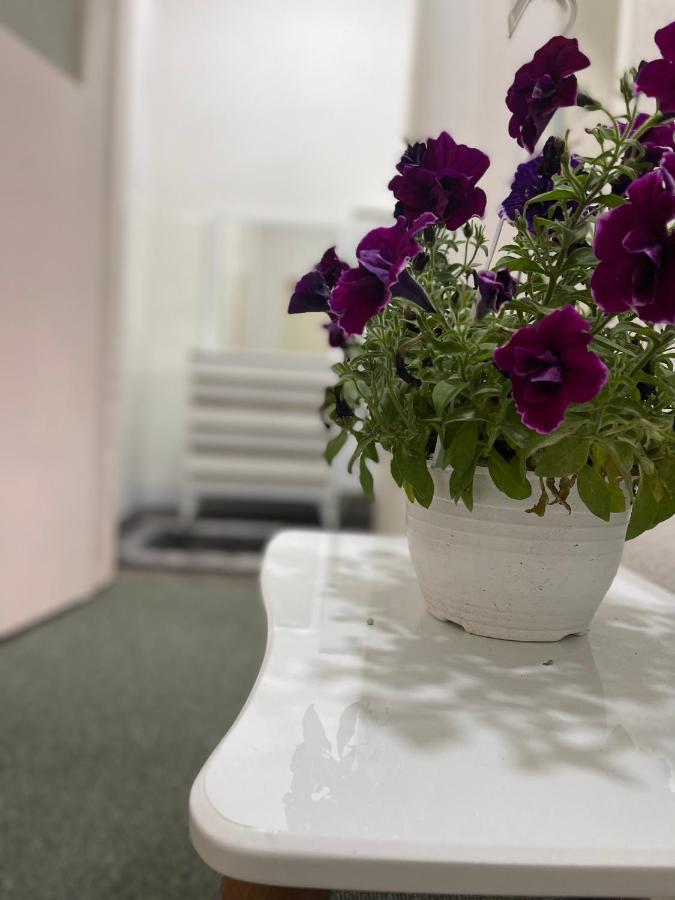 Apartment-Rubin พริสตีนา ภายนอก รูปภาพ